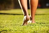 Legs on the grass
