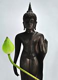 Walking Buddha Statue with green lotus