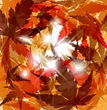 Autumn golden leafs abstract background