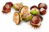 group of chestnuts 