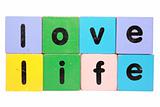 love life in toy blocks