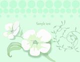 Floral green background with circle. Vector