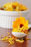 Tea collection - pot marigold