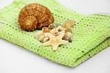shell and towel