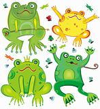 cute frogs