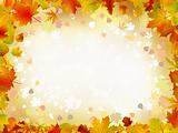 Autumn leaves border for your text.