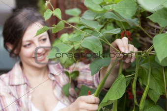 A smiling woman picking runner beans