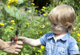 Baby giving mother radishes