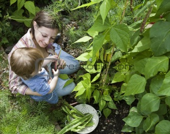 Baby and mother picking beans in the garden