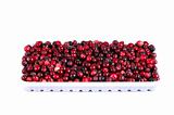 wild ripe red cranberry and  white plastic tray over white