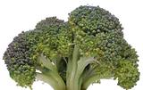 Broccoli closeup looking like a tree