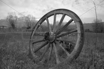 Old wheel of wagon