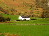 A Welsh Farmhouse