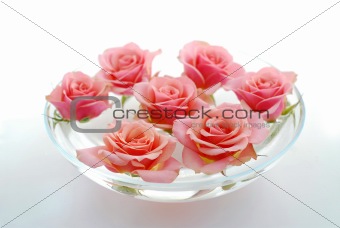 Rose float water