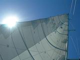 Sun glaring through a yacht's sail