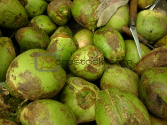 coconuts from bombay
