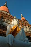 Buddha at Ayutthaya
