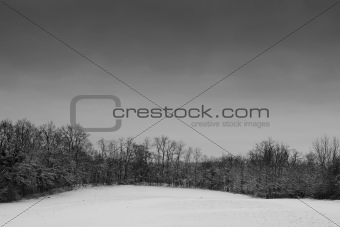 Snow Landscape #2