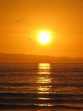 Newport Beach Sunset of Catalina Islands
