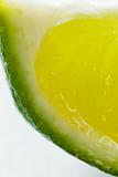 macro lime wedge