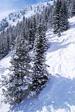 Ski tracks in mountains