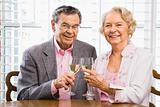 Mature couple with wine.