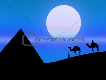 Desert in the night