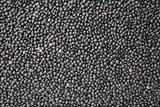 a surface made of black Beluga lentils