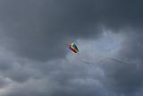 Kite in the Dark Sky