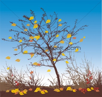 autumn vector illustration