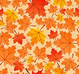Autumn leaves seamless pattern, vector