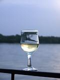 Glass of white wine on a background of the river