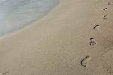 footsteps on the sand