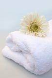 Flower on a white towel