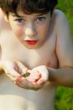 Boy holding a frog