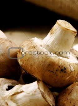chestnut mushrooms