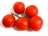 Red tomatoes   80128