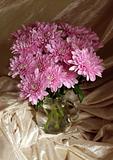 Bouquet from pink chrysanthemums