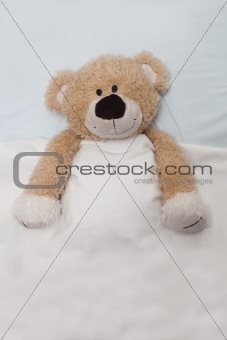 Teddy Bear Laying in Bed