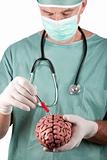 Male Surgeon Holding Brain