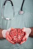 Male Surgeon Holding Brain