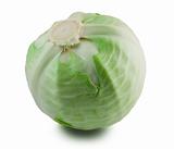Green cabbage on white