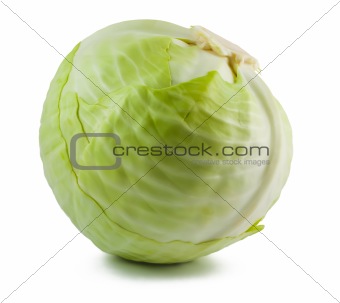 Cabbage on white