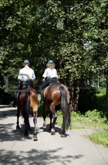 Policemen on horses in park