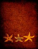 Starfish on brown sand background