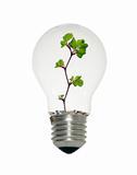 Light bulb with small tree