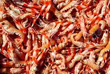 Crayfish Nephrops Norvegicus seafood market