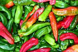 green red pepper pattenr coloful vegetables