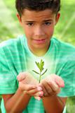 plant sprout growing glow light teenager boy hands