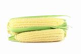 Corn cob sweetcorn